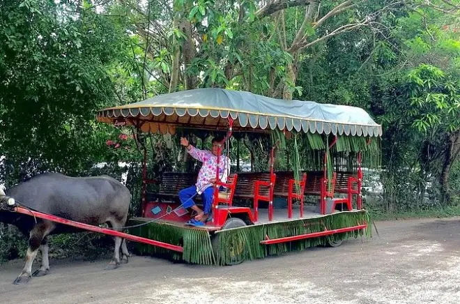 Villa Escudero: Mittagessen am Wasserfall und Carabao-Karrenfahrt