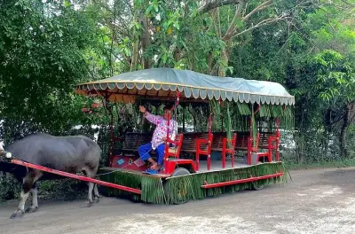 Villa Escudero: Mittagessen am Wasserfall und Carabao-Karrenfahrt