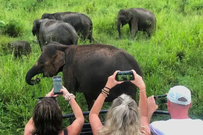 Sigiriya Felsenbesteigung, Dorftour & Elefantensafari