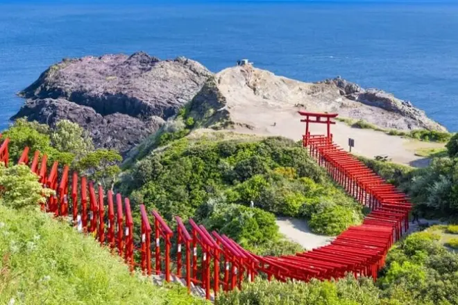 Fukuoka to Yamaguchi: Cave & Shrine Full-Day Tour