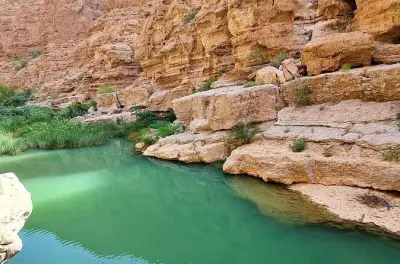 Wadi Shab depuis Muscat : Nagez dans les bassins de la grotte
