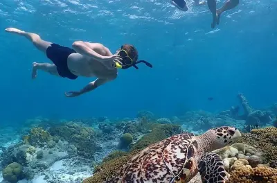 Schnorcheln auf Bonaire und Klein Bonaire: Privates Boot mit Guide