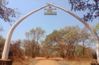Katavi Nationalpark Safari: 3 Tage private Wildtierbeobachtung