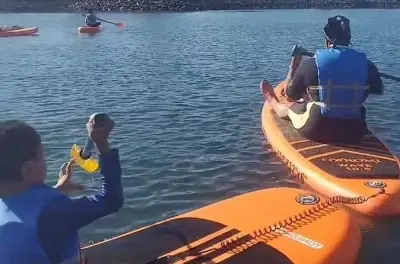 Stand-up-Paddle-Kurse & Verleih in Fayette County
