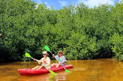 Kajakfahren in Sisal ab Merida: Mangroven und Strand