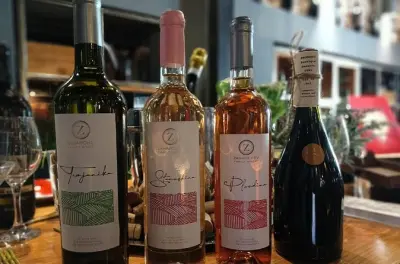 Skopje : Dégustation de 5 vins macédoniens avec fromage et pain