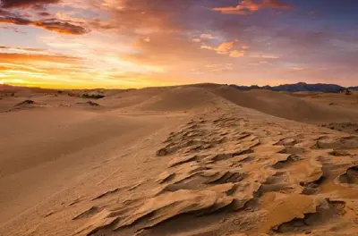 Wahiba Sands sunset 4x4 safari with Ibra and desert dinner