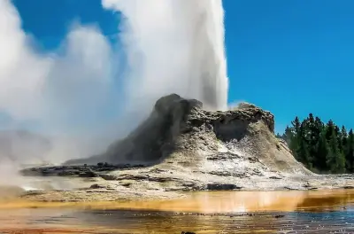 Yellowstone visite privée : Old Faithful, faune et sources chaudes