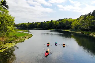 Kayak in Popponesset Bay Mashpee: Noleggio senza guida