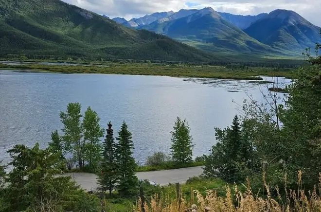 Trasferimento privato da Banff a Calgary: Senza attese