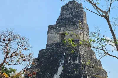 Tikal Geführte Tour: Maya-Ruinen & Dschungelpfade ab Flores