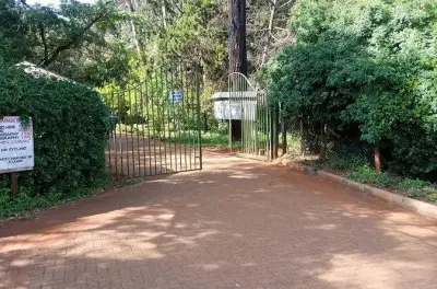 Privattour Nairobi: Arboretum und Nationalmuseum