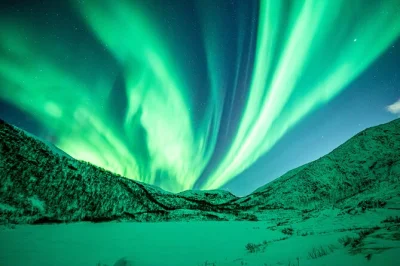 Feel the thrill of chasing the northern lights near tromso, guided by locals, with warm drinks, snacks, and a cozy campfire. includes pickup from city center.