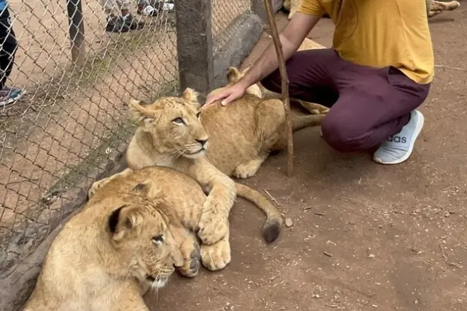 Private Wildlife-Tour in Harare: Drei Parks an einem Tag