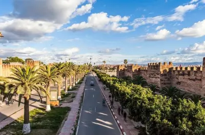 Taroudant & Tiout Oasis Day Trip: Ramparts and Palm Trees