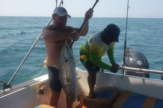 Pêche de GT, thon et voilier à Mirissa en bateau rapide
