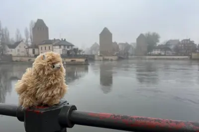 Colmar, Dörfer & Schloss Tagesausflug ab Straßburg: Privater Guide