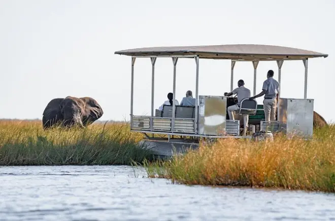 Chobe-Safari ab Victoria Falls: 3 Tage Camping und Pirschfahrten
