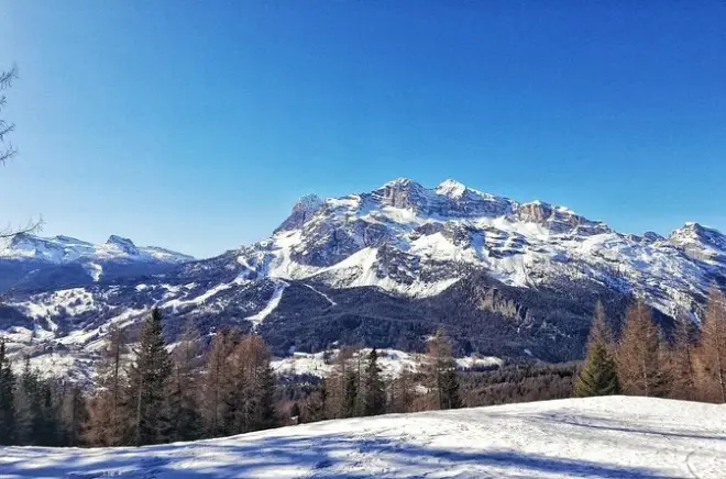Cortina Snow Hike: Larch Forests & Mountain Views
