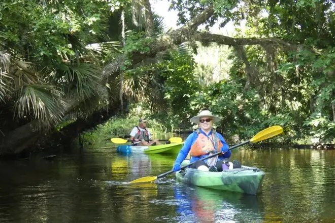 Kayak sur la rivière Wekiva près d’Orlando : Faune et baignade