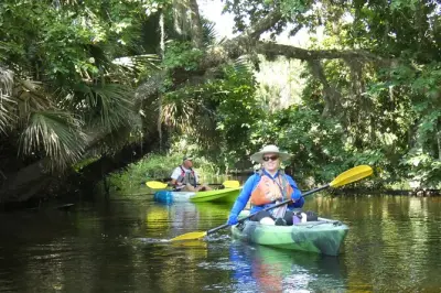Kajakfahren auf dem Wekiva River bei Orlando: Tiere & Schwimmen