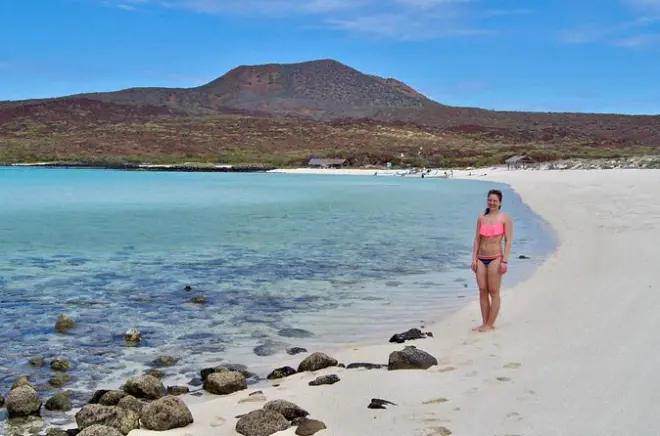 Snorkeling a Coronado Island, Loreto: Charter privato