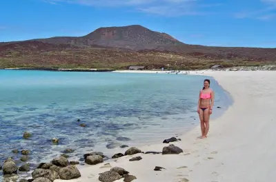 Snorkeling a Coronado Island, Loreto: Charter privato