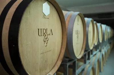 Urla Wine and Olive Oil Tour from Izmir: Private Full-Day