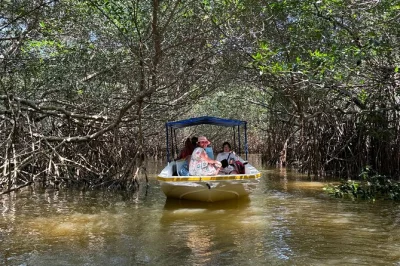 Scopri celestún con un tour in barca in piccolo gruppo tra mangrovie e fenicotteri, bagno con argilla maya e pranzo sulla spiaggia. partenza da mérida inclusa.