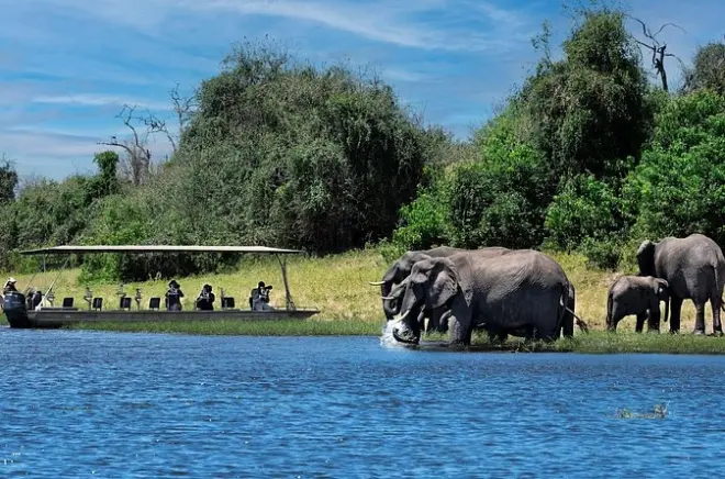 Safári e passeio de barco no Parque Nacional Chobe em um dia