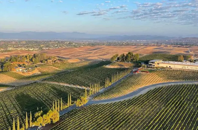 Temecula Wein-Tour mit privatem SUV und Guide