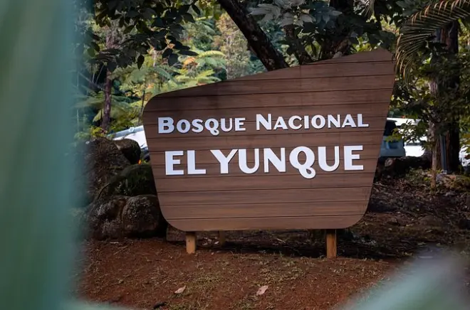 El Yunque Regenwald Bus-Tour: Erfahrene Guides und Wasserfälle