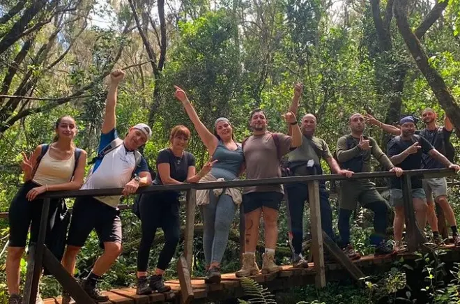 Mount Kilimanjaro Day Hike: Rainforest trek with summit views