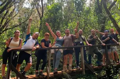 Trekking nella foresta pluviale del Kilimanjaro con vista vetta