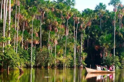 Safari en canoa por el lago Sandoval desde Puerto Maldonado