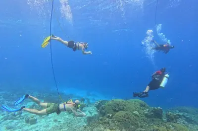 Snorkel em Willemstad: Mergulho SNUBA sem precisar de certificação