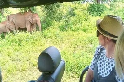 Udawalawe National Park Safari from Galle: Private Jeep Tour