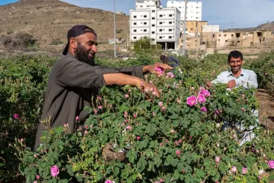 Taif City Tour: Rose Gardens, Souq & Al Hada Mountain