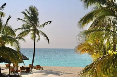 Vacances snorkeling et plage à Zanzibar 5 jours avec forêt de Jozani