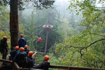 Vive la emoción de un tour en tirolesa en skagway: circuito de cuerdas, líneas en el dosel y guías locales. todo incluido: transporte, equipo y snacks.