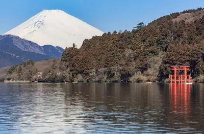 Gita di un giorno alle terme di Hakone da Tokyo con autista privato