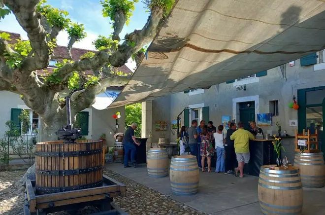 Geneva Countryside Vineyards: Private Wine Tasting Tour