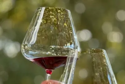 Orange Wein Tour: 3 Weingüter mit privatem Flughafentransfer