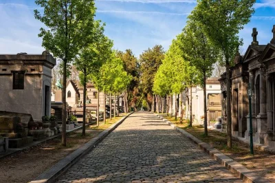 Erkunde den père lachaise friedhof in paris mit einem privaten guide. besuche berühmte gräber, lausche lokalen geschichten und entdecke die größte grünfläche der stadt.