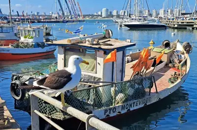 Private tour Punta del Este: Hand sculpture, Casapueblo, port