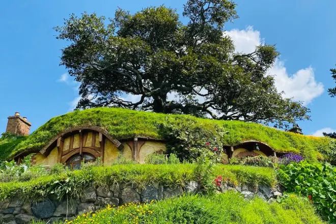 Caminhada guiada de 2,5h no Hobbiton saindo do porto de Tauranga