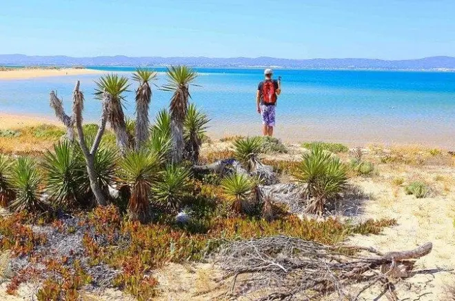 Tour en ferry por Ría Formosa desde Faro: Islas, mercados y mariscos