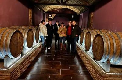 Vinícola em Alicante: Degustação de vinho, azeite e Fondillón