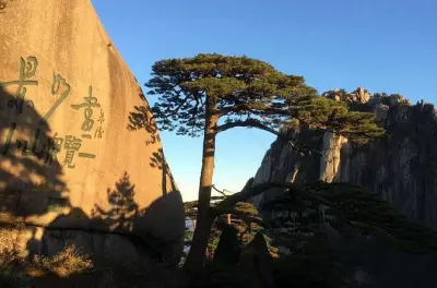 Tour en grupo por el monte Huangshan: Pico White Goose y pico Lion