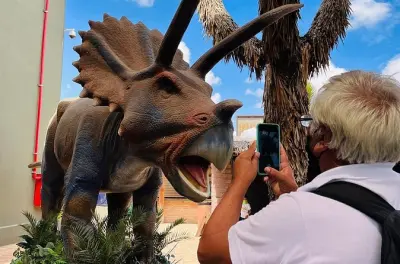 Tour al museo del deserto da Monterrey: Dinosauri, zoo e Saltillo